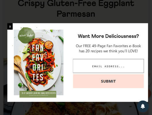 14 minimalist baker lead magnet