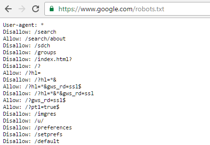 Google Robots.txt File
