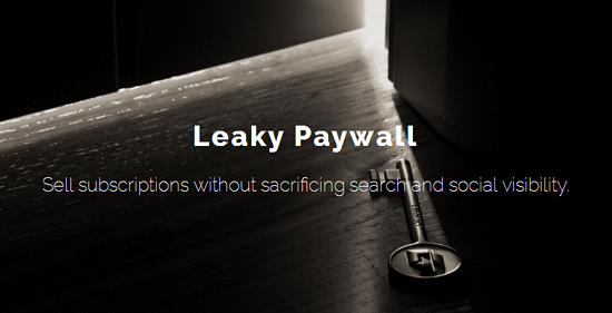 Leaky Paywall Homepage