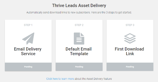 Thrive Leads Asset Delivery
