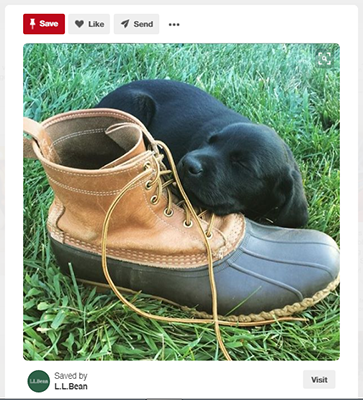 L.L. Bean Pinterest Cross Topics Example