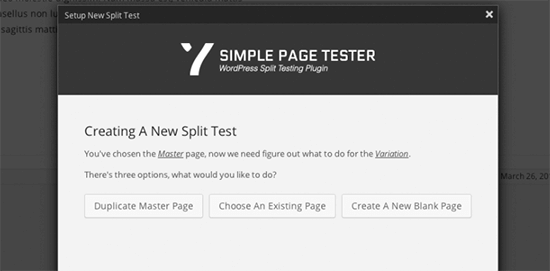 Simple Page Tester