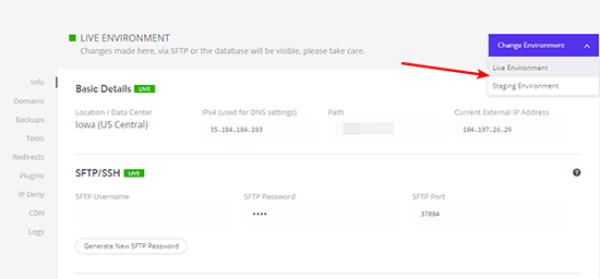 Kinsta Staging 1