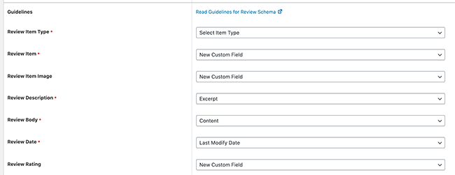 Review Schema Information New Custom Field