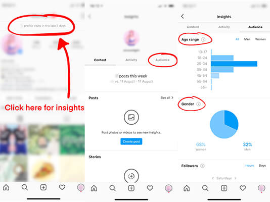 17.2 Instagram business insights