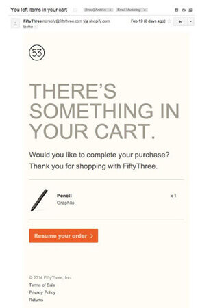 FiftyThree Abandoned Cart Email