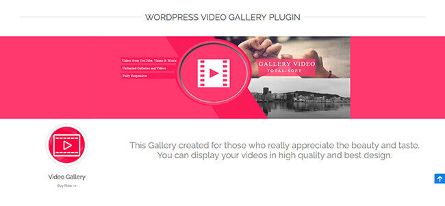 Video Gallery by Total Soft Homepage