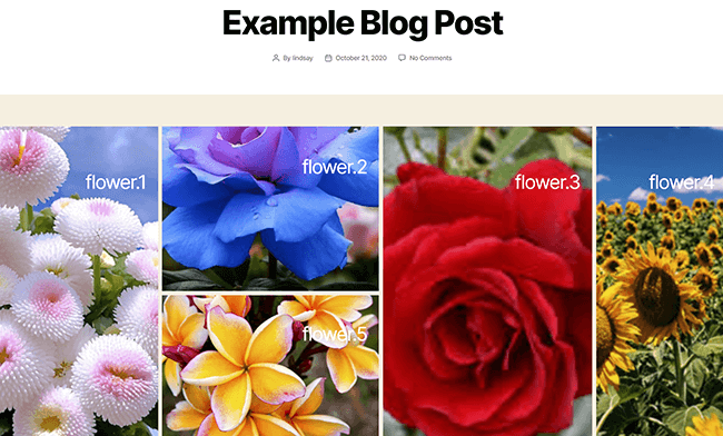 example photo gallery on your wordpress website