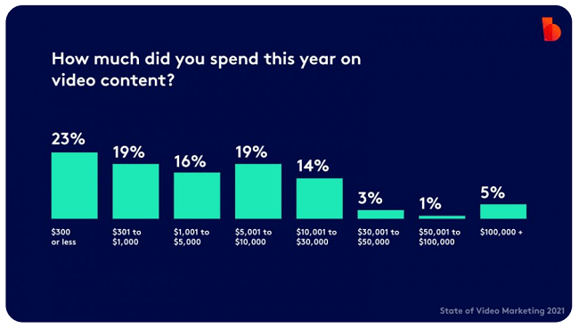 Most marketers spent under $300 on video in 2020