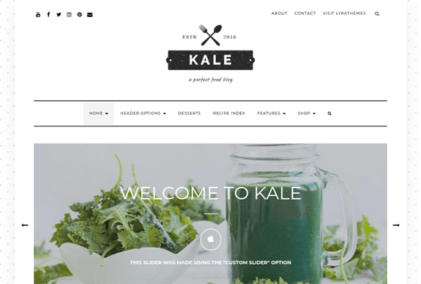 kale wordpress theme