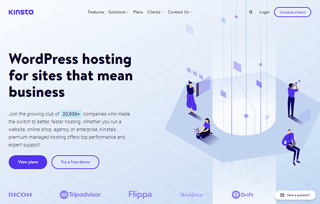 kinsta homepage