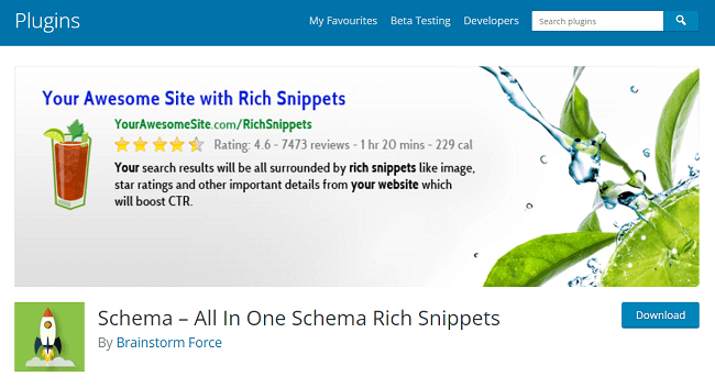 All In One Schema Rich Snippets Homepage