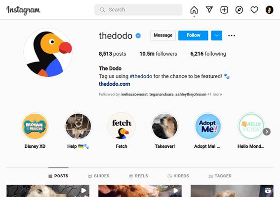 perfil do instagram thedodo