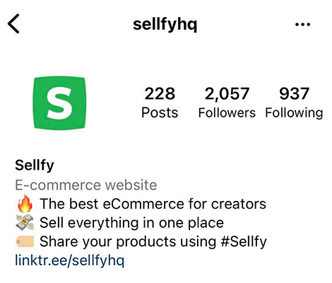 Sellfy Instagram bio