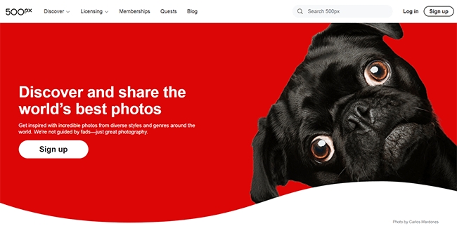 500px Homepage