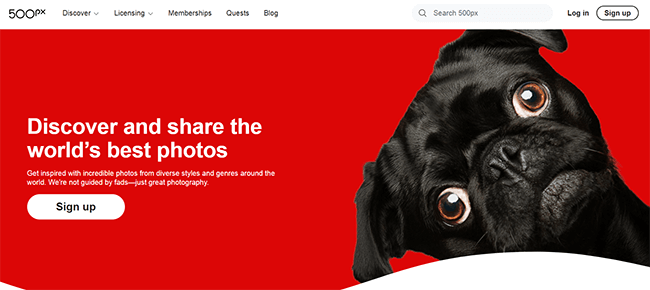 500px Homepage