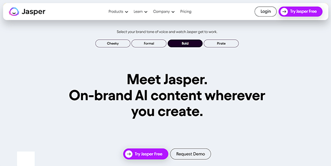 Jasper Homepage