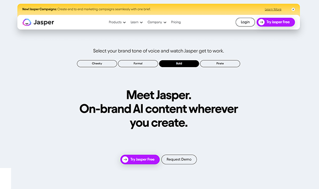 01 Jasper Homepage