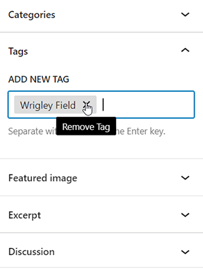 remove wordpress tag