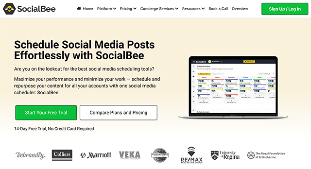 SocialBee