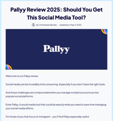 pallyy review example