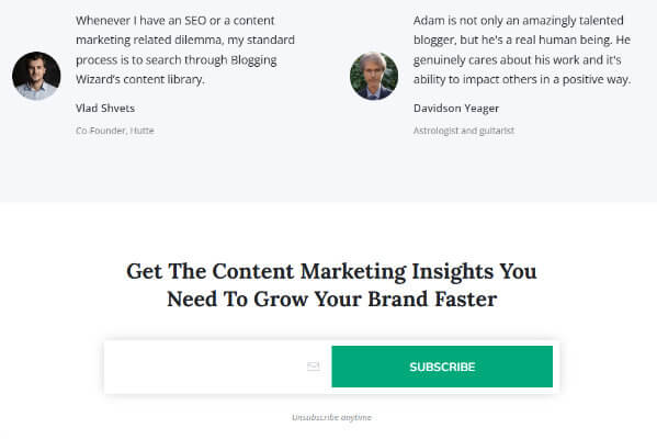 blogging wizard newsletter page