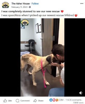 facebook video