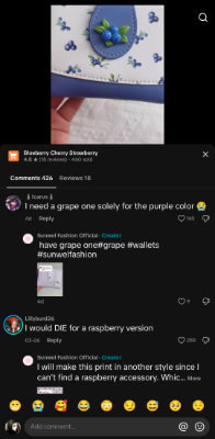 TikTok Blueberry Wallet